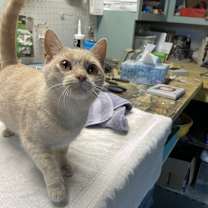 Thumbnail photo of Emma #2