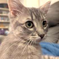 Thumbnail photo of Emi and Cinna #3