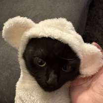 Thumbnail photo of Nyx #4