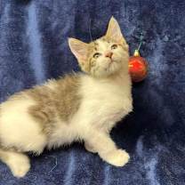 Thumbnail photo of Farmer #2