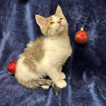 Thumbnail photo of Farmer #3