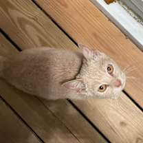 Thumbnail photo of Emma #1