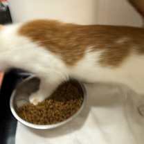 Thumbnail photo of Mr. Wiggles #3