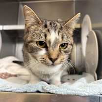 Thumbnail photo of Wiggle Worm #4