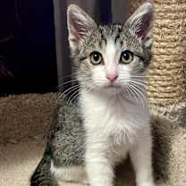 Thumbnail photo of Davy Jones #2