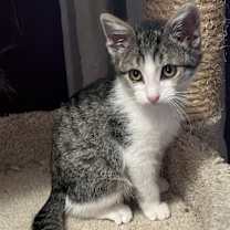 Thumbnail photo of Davy Jones #3