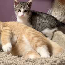 Thumbnail photo of Davy Jones #4