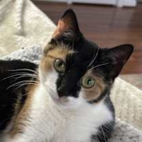 Thumbnail photo of Zoey #1