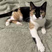 Thumbnail photo of Zoey #2