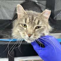 Thumbnail photo of Broncks Land #2