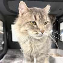 Thumbnail photo of Broncks Land #3