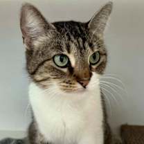 Thumbnail photo of Ursula #1