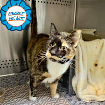 Thumbnail photo of Marie #1