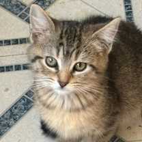 Thumbnail photo of Junebug #2