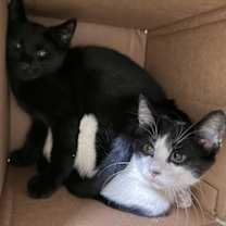 Thumbnail photo of Skip #2