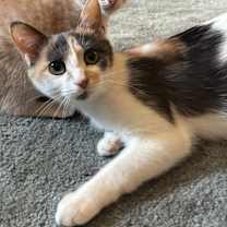 Thumbnail photo of Seussie #1