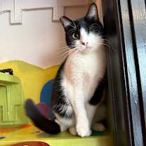 Thumbnail photo of BMO #1