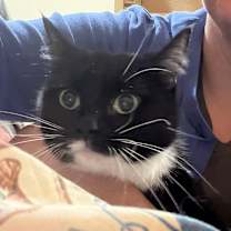 Thumbnail photo of Lulu #2