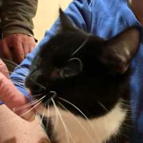 Thumbnail photo of Lulu #3