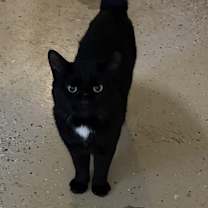 Thumbnail photo of Rasputin #4