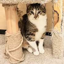 Thumbnail photo of Mike #1