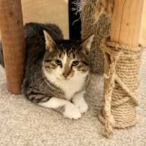 Thumbnail photo of Mike #2