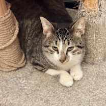 Thumbnail photo of Mike #3