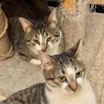 Thumbnail photo of Mike #4