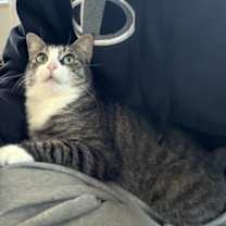 Thumbnail photo of Raspberry #3