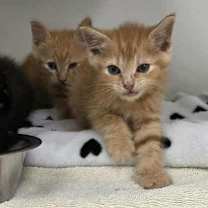 Thumbnail photo of Energy #1