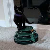 Thumbnail photo of Vienna 4929 #4