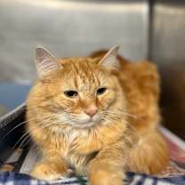 Thumbnail photo of Jessie #2