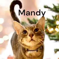 Thumbnail photo of Mandy #1