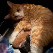 Thumbnail photo of Mimi Ishi #3