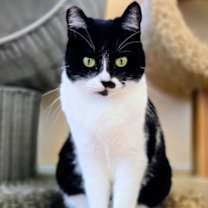 Thumbnail photo of Bebe #3