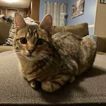 Thumbnail photo of Spike #2