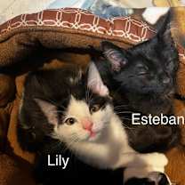 Thumbnail photo of Esteban #2