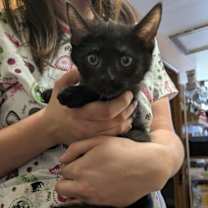 Thumbnail photo of Carlos #2