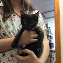 Thumbnail photo of Esteban #3