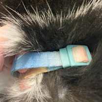 Thumbnail photo of Jack* #2