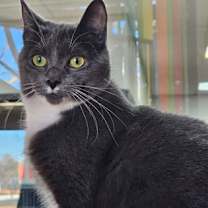 Thumbnail photo of Blanche #1