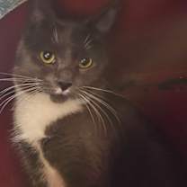 Thumbnail photo of Blanche #2