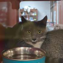 Thumbnail photo of Blanche #3