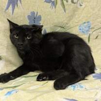 Thumbnail photo of Keegan #3