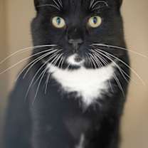 Thumbnail photo of Stu #1