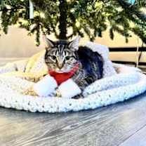 Thumbnail photo of Turkey #1