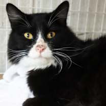 Thumbnail photo of Mr. Spaghetti #2