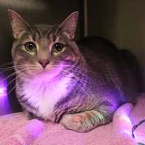 Thumbnail photo of Eddie #1