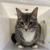 Thumbnail photo of Eddie #2