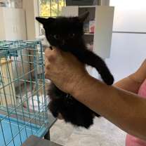 Thumbnail photo of Tortellini #2